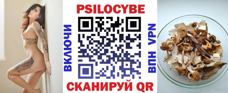 Псилоцибиновые грибы прущие грибы  Приволжский 